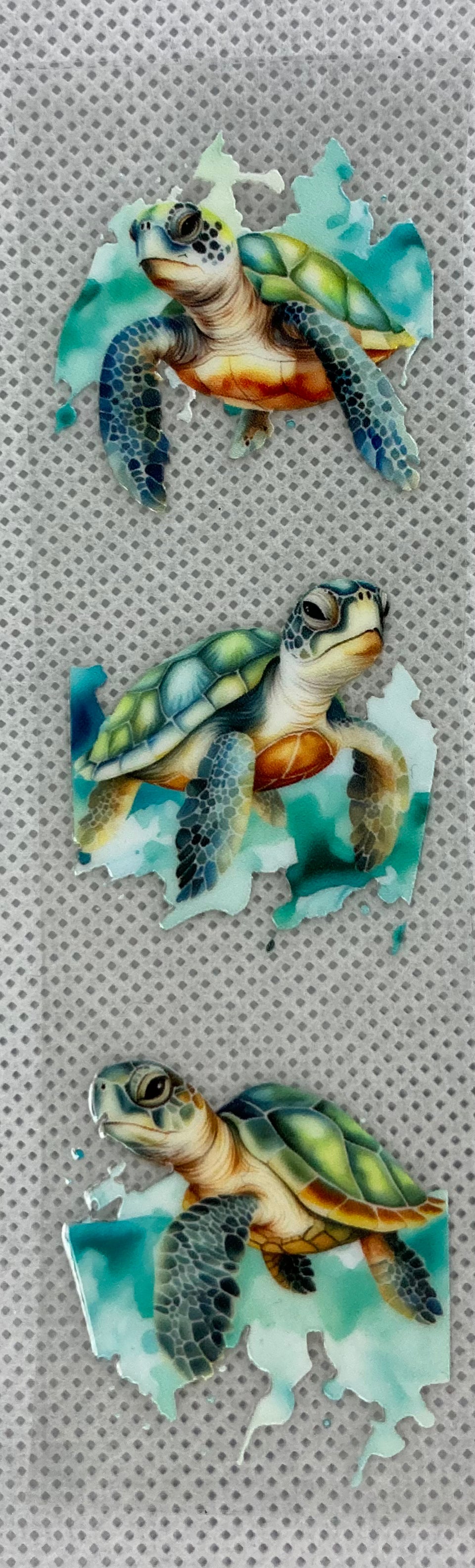 Turtle 01